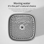 Neko Zen™ PureFlow Cat Fountain